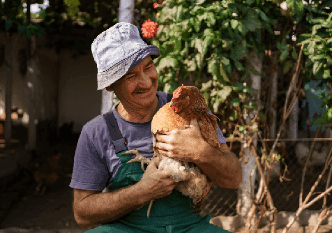 ה-CDC ממליץ: לא לנשק או להתכרבל עם עופות