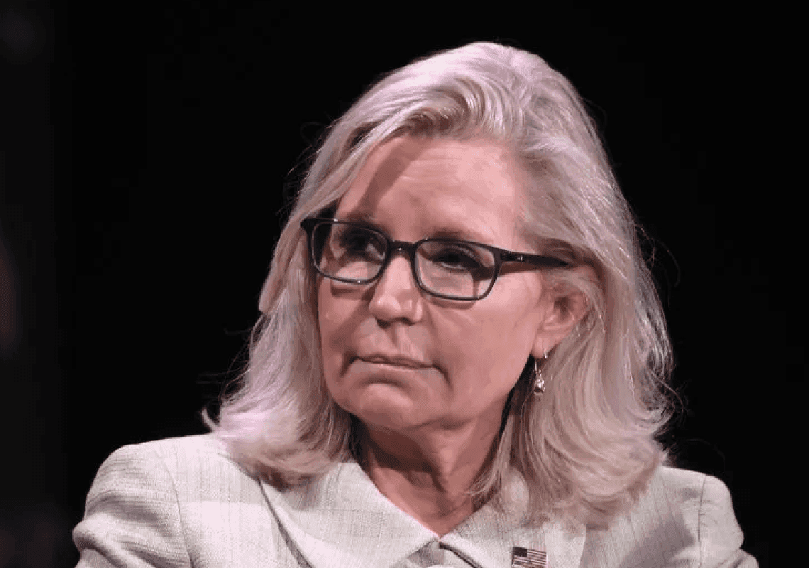 ליז צ'ייני לציבור האמריקאי: "תפסיקו לבחור אנשים טיפשים"