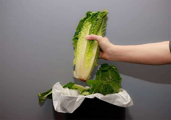 המשרד לבקרת מחלות: עשרות נוספים אושפזו בעקבות התפשטות הווירוס בחסה