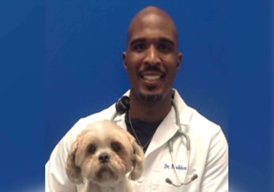 "אחד הפשעים הנוראיים בתולדות פלורידה": וטרינר שהתעלל מינית בכלבים ואגר חומרים פדופילים צפוי ל-22 שנות מאסר