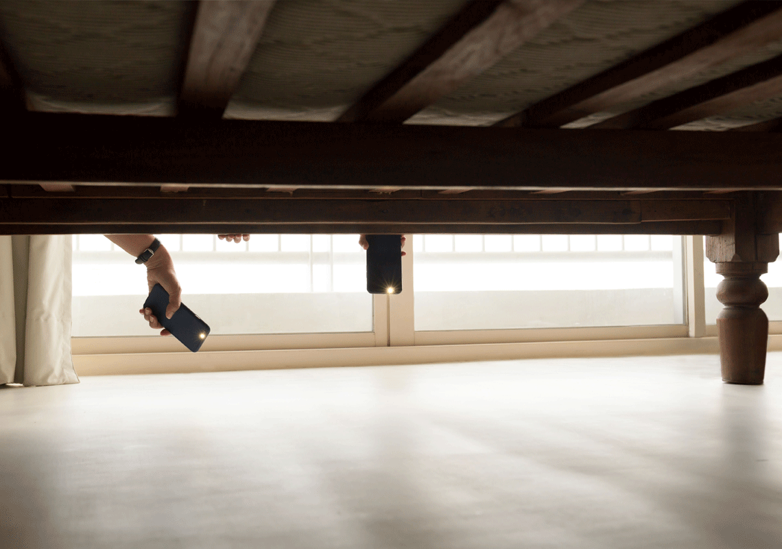 חלום המגורים בהוליווד הילס הפך לסיוט: במשך חודש התעורר עם פצעים בגופו - כשהזיז את המזרן גילה את המחזה המבעית