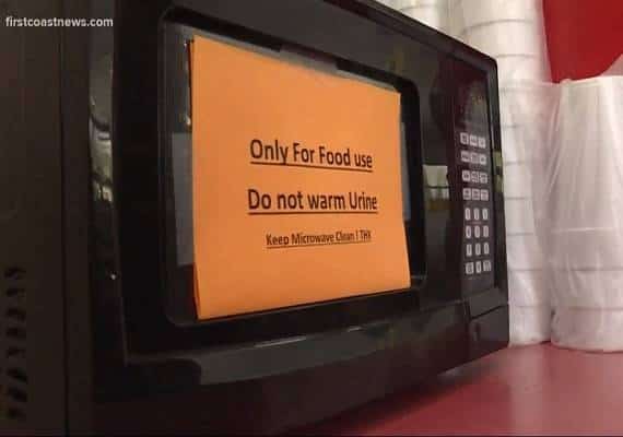 פלורידה: מי מחמם שתן במיקרוגל?