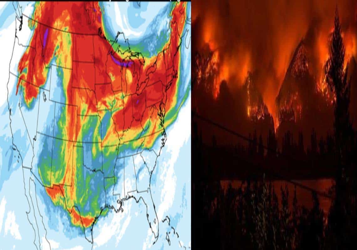"העשן מגיע עד ניו יורק": 1,600,000 דונם עלו באש בחוף המערבי
