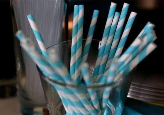 עוד צעד לעבר המטרה: הסנאט בקליפורניה אישר את הצעת החוק שתפחית את השימוש בקשים