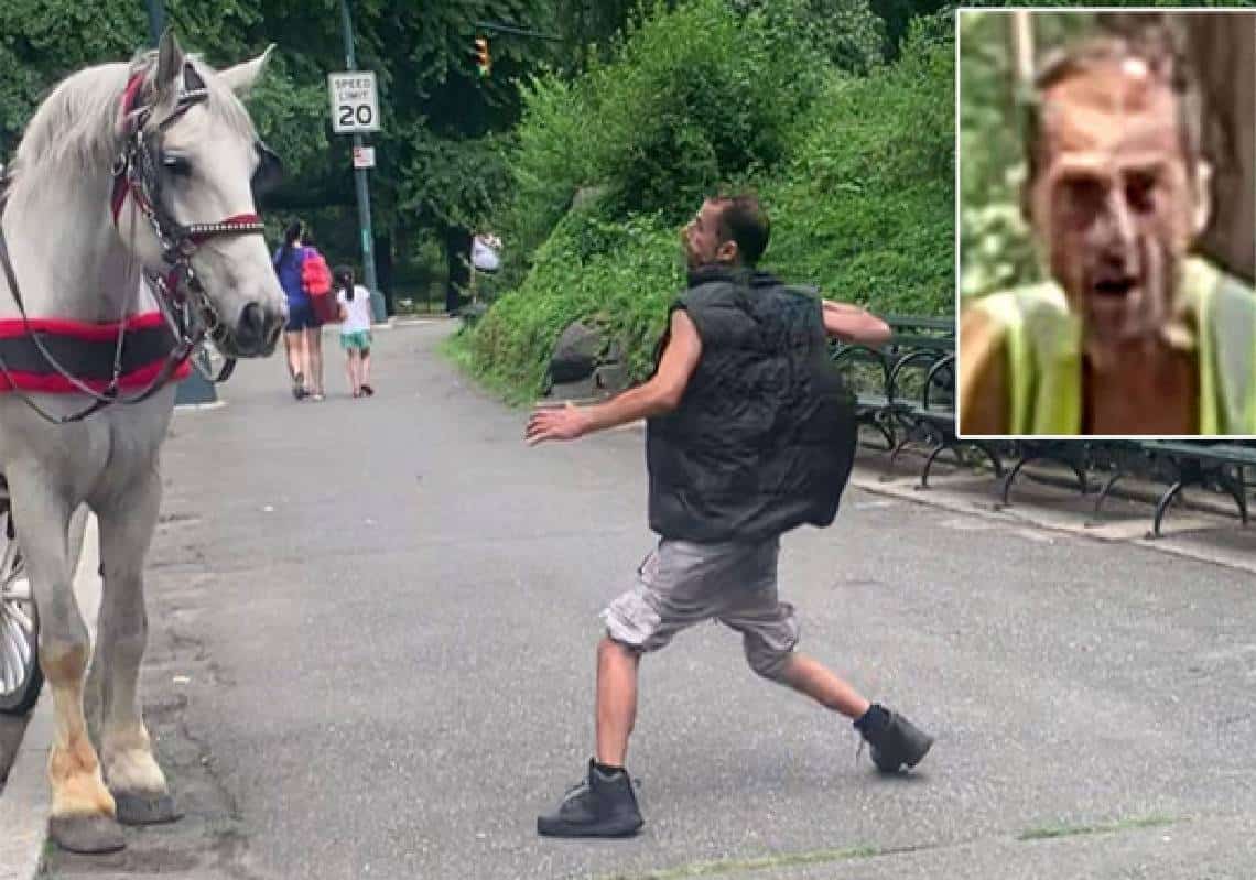 סנטרל פארק: פסיכופת תקף באגרופים את הסוסים והמרכבות המפורסמות