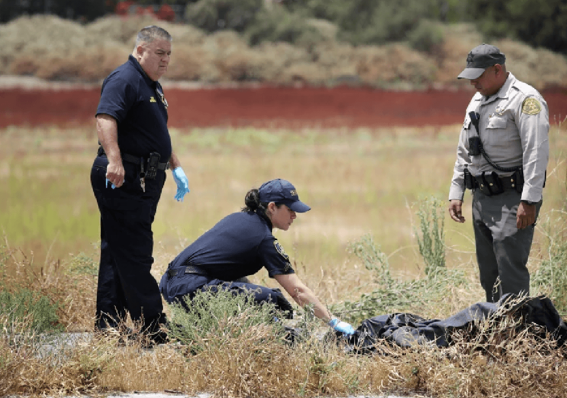 תקרית של אחד למיליון: אישה ושני כלביה נהרגו מפגיעת ברק בלוס אנג'לס