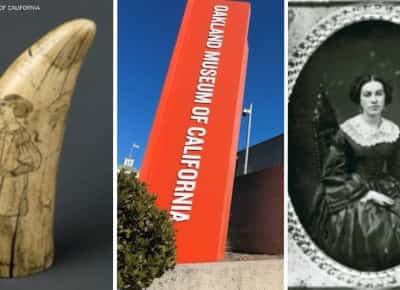 גל פריצות יוקרתי מטלטל את ארה״ב: כנופיות־על גונבות אוצרות בשווי עתק