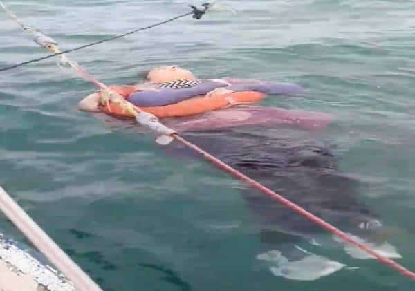 צפו: "נולדתי מחדש, אלוהים לא רצה שאמות" - בלתי נתפס לחלוטין, אישה שנעלמה לפני שנתיים נמצאה חיה בים 