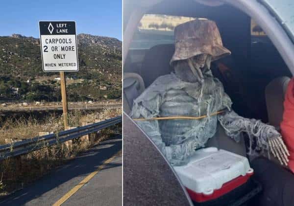 גם זו דרך לעקוף את הפקקים: ה"נוסע" המיוחד שאיתו נהג עלה לנתיבי הקארפול