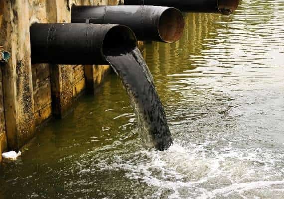 ממשל טראמפ יחשוף נחלים וביצות לזיהום