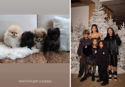 קים קרדשיאן מסתבכת עם ארגון זכויות בעלי החיים הגדול בארה"ב