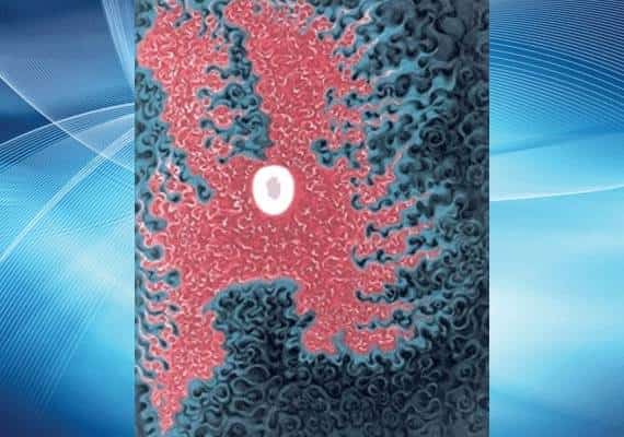 יצירת אומנות גנובה בשווי 800 אלף דולר נחשפה בין חפצי קרוב המשפחה שנפטר