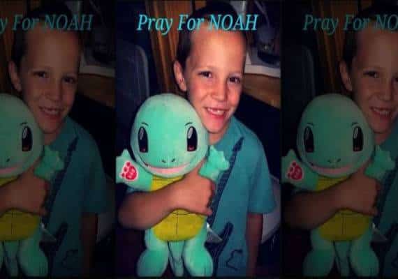 צפון קרוליינה: בן 6 פונה לטיפול נמרץ לאחר עקיצת יתוש קטלנית