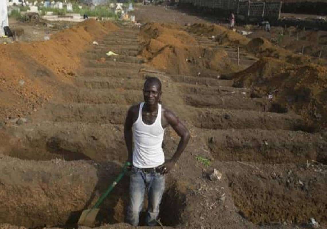 לא רק קורונה: דבר הבולטות מתפשט - האם 'המוות השחור' בדרך ליבשת השחורה?