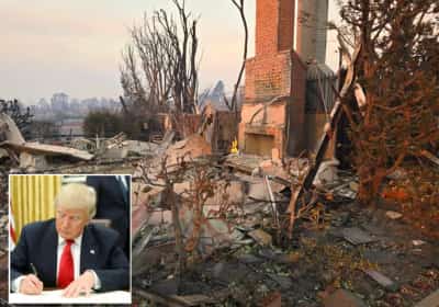 כך סייע טראמפ להאיץ את שיקום לוס אנג'לס אחרי השריפות ההרסניות