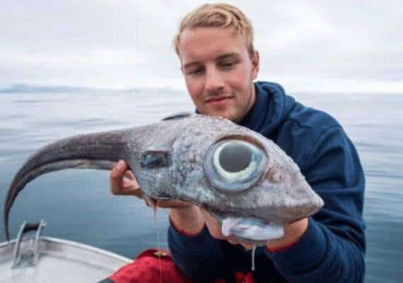 כמו סרט אימה: דג חייזרי במיוחד נלכד במסע דייג