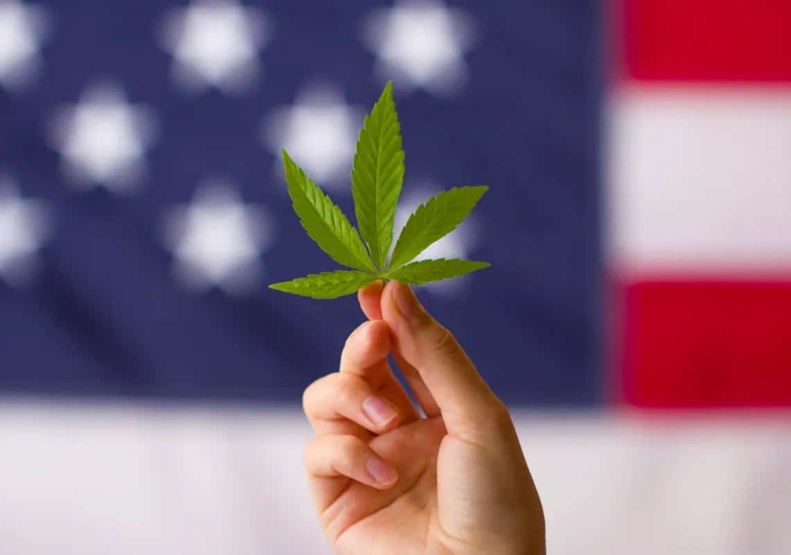שש מדינות אמריקאיות נוספות בוחנות האם לבצע לגליזציה של מריחואנה