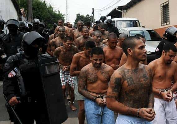 בפשיטה הגדולה בתולדות ניו יורק: נתפסו ראשי כנופיית הרצח MS-13 