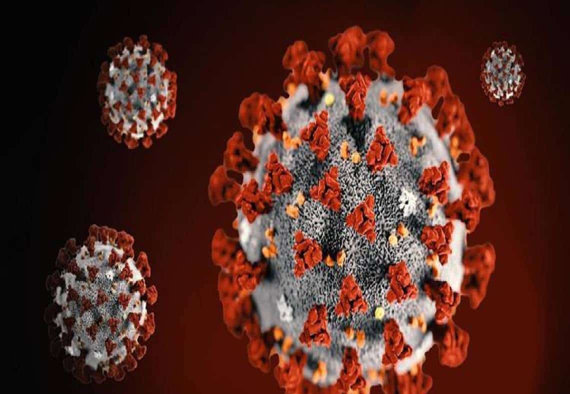 "משרד הבריאות הישראלי הודה שלא הצליח לבודד את נגיף הקורונה"