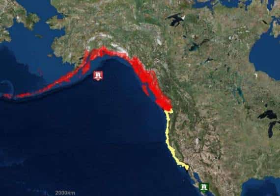 קליפורניה: למרות כוננות הצונאמי, לא הופעלה מערכת ההתרעה