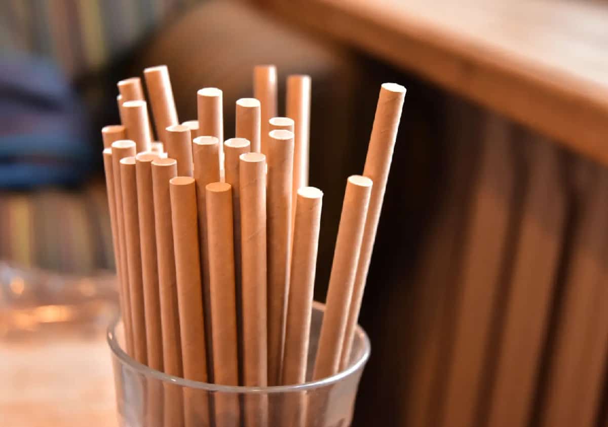 פלורידה פותחת במאבק בריאותי חדש: הפעם נגד קשיות מנייר