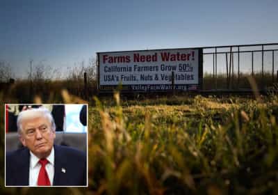 טראמפ מקיים את ההבטחה שלו לחקלאים בקליפורניה: יותר מים לסנטרל ואלי