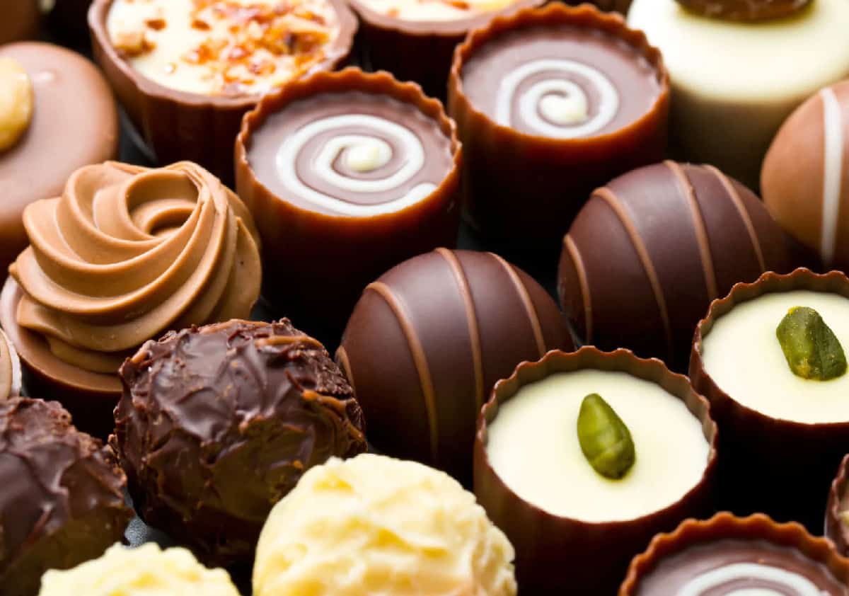 פסטיבל השוקולד של גני Fairchild חוזר בסוף החודש עם עשרות דוכנים, טעימות, סדנאות, קוקטיילים, מוזיקה ופעילויות לילדים ולמבוגרים