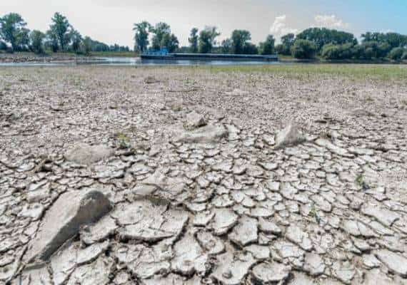 כמה חם? מחקר חדש קובע כי 4 השנים הקרובות יהיו חמות מהרגיל