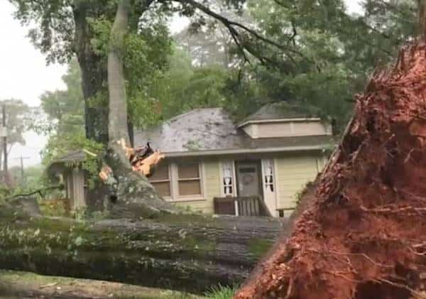 סופה עוצמתית היכתה בדרום-מזרח ארה"ב: 2 נהרגו, עשרות אלפים נותרו ללא חשמל