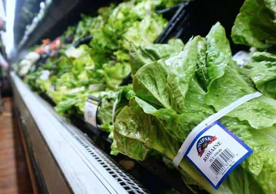 אזהרה חמורה: וירוס החסה חזר, עשרות מאושפזים, שליש מהם בקליפורניה