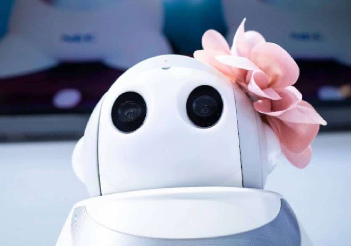 מדינת ניו יורק תחלק 'חבר-רובוט' תוצרת ישראל לקשישים כדי שלא ייכנסו לדיכאון