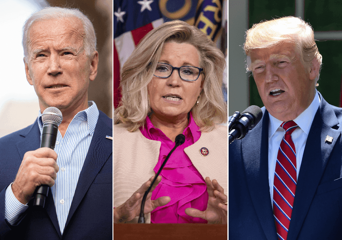 התמודדות של צ'ייני לנשיאות רק תיקח קולות מביידן - ותביא ניצחון לטראמפ