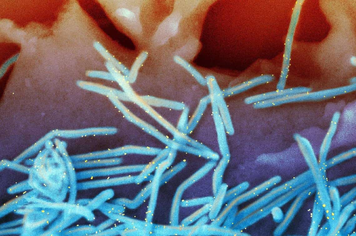 "נגיף נשימתי חדש": אזהרת חירום בריאותית הוכרזה במחוז אורנג'