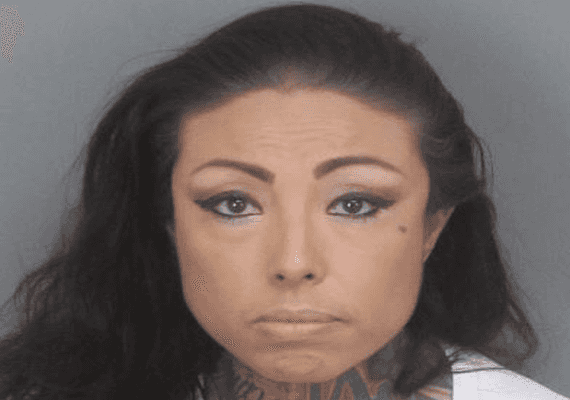 קליפורניה: אם יצאה לקניות והשאירה שני תינוקות ברכב