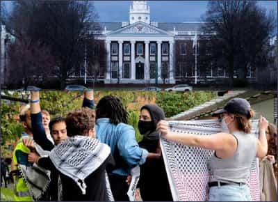 בוגר הרווארד מערער: הותקפתי במחאה פרו־פלסטינית — והאוניברסיטה בחרה לא לראות, כי אני יהודי 