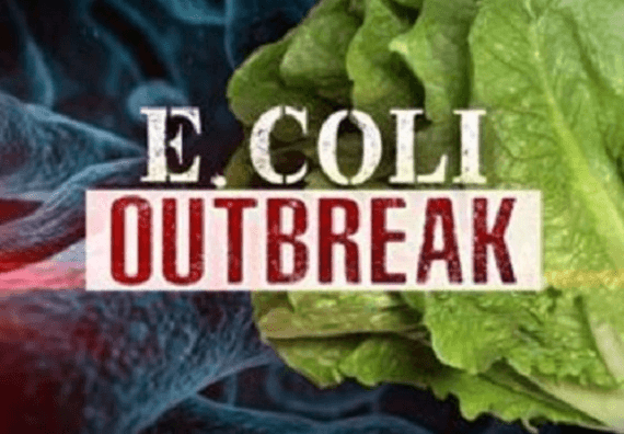 5 קורבנות, כמעט 200 חולים מהתפרצות אי-קולי