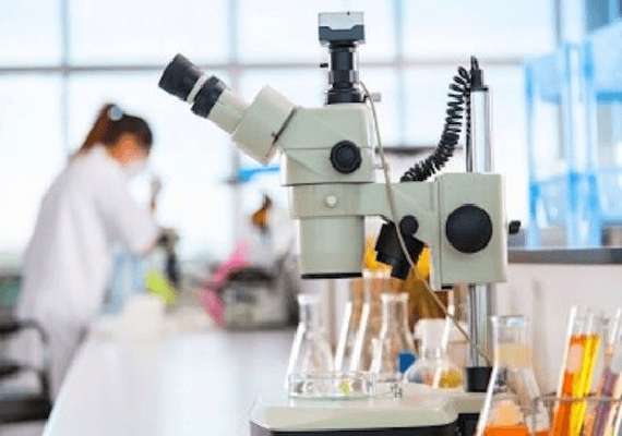 מתנגדי ההפלות נגד משרד הבריאות: הפסיקו לממן מחקר ברקמות עוברים