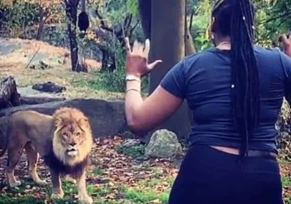 מפגש מול אריה מטווח אפס: משטרת ניו יורק במרדף אחר מסיגת הגבול