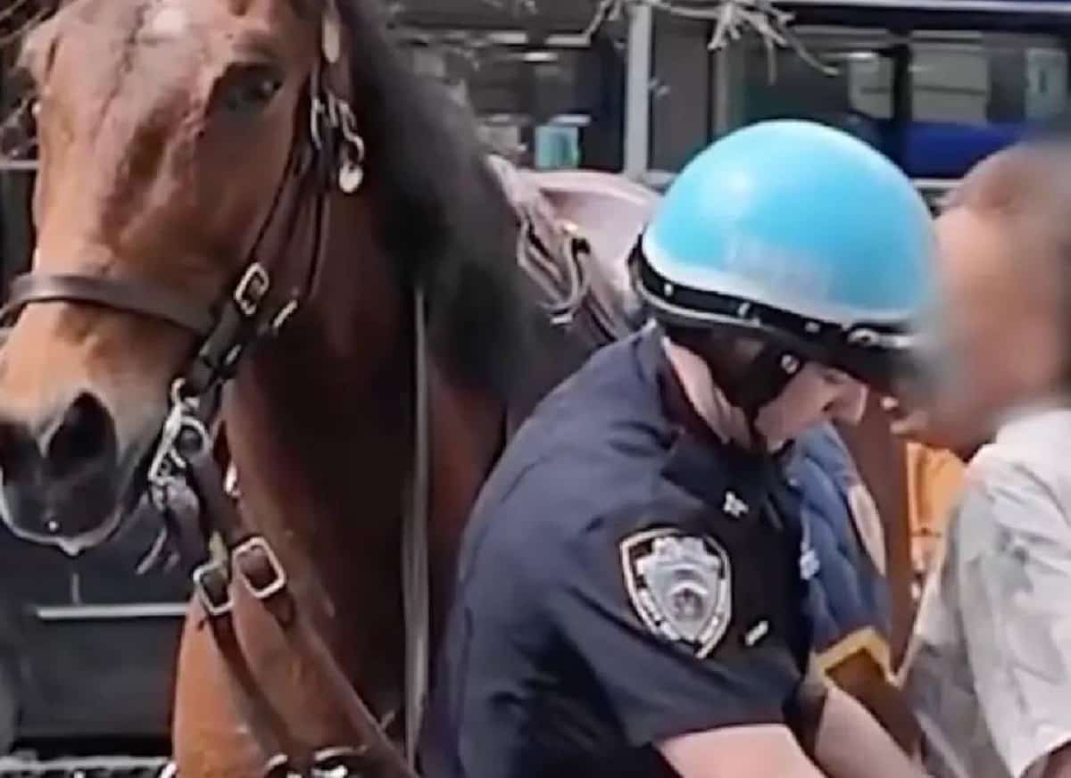 מרדף חריג בלב מנהטן: שוטר דהר על סוס ולכד רוצחת משוחררת שחטפה ארנק