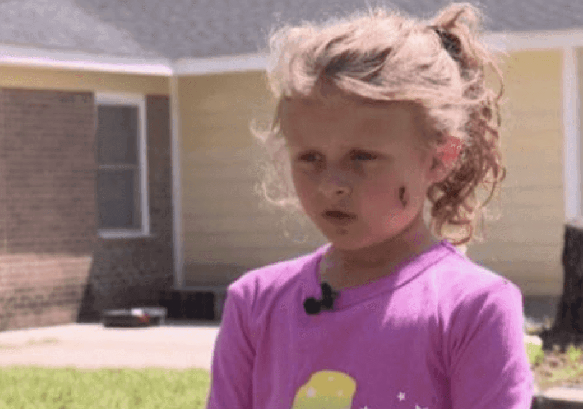 הכדור התגלגל לחצר של השכן - שזעם ופתח באש על בת 6 וההורים שלה 