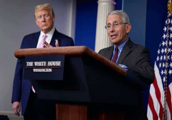 בכיר הצוות מטעם ממשל טראמפ בהתמודדות מול משבר הקורונה קובע: זהו המועד בו ארה"ב תתחיל לחזור לשגרה