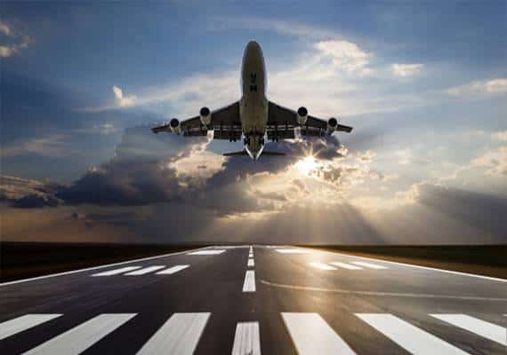 בעקבות המחדלים: בקרוב ינוסחו נהלים חדשים וברורים להטסת בעלי חיים