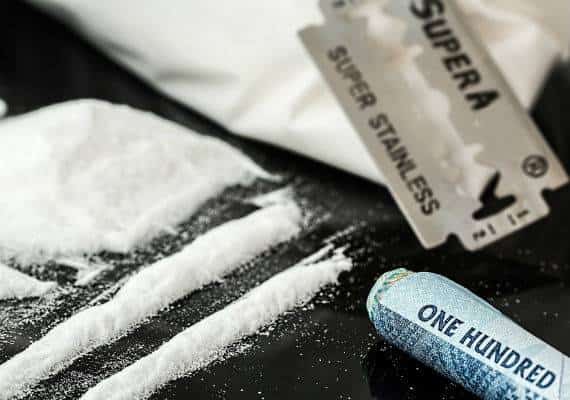 דלאוור: על אריזת המשלוח בנמל היה כתוב אננס, כלב ההרחה חשף את האמת