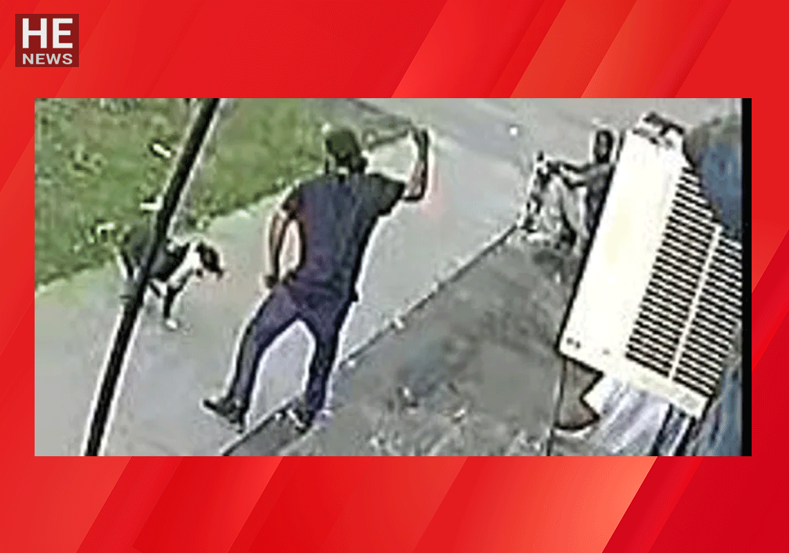 סיפר לשוטרים כי הותקף על ידי כלבת פיטבול ונאלץ להגן על עצמו: סרטון תיעוד האירוע חשף תמונה אחרת לגמרי