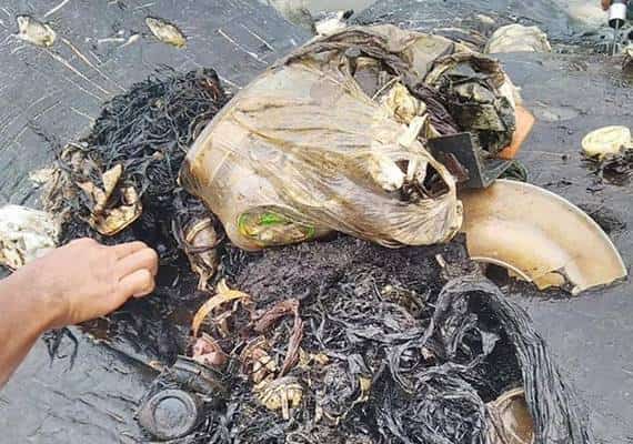 13 פאונד שקיות, כפכפים וכוסות פלסטיק: כמות עצומה של פסולת נמצאה בבטנו של לוויתן