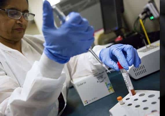 "החיסונים נגד השפעת הקטלנית בארצות הברית כשלו ב-75% מהמקרים"