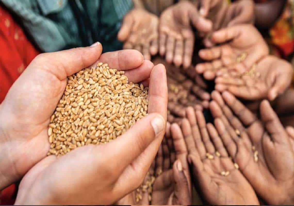 מחירי המזון הגלובליים ממשיכים לעלות: מדינות מסוימות נפגעות יותר מהשאר