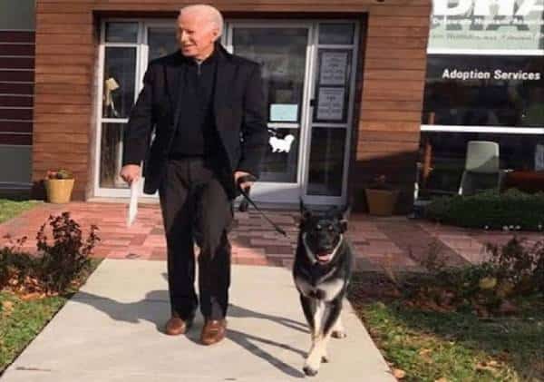 לאחר משחק עם כלבו, ג'ו ביידן סובב את קרסולו ונלקח לבדיקה רפואית, אך האם זהו כל הסיפור?