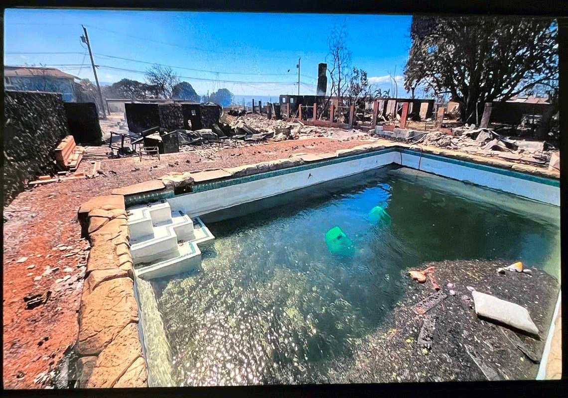 "עמודי חשמל נופלים עלי, אנשים נשרפים למוות, הבית הפך לאבק": ישראלית שנמלטה מהאסון בהוואי מתארת את רגעי האימה