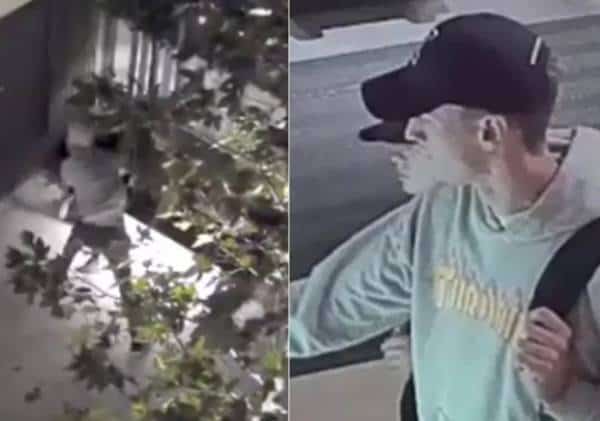 אל מול עיני מצלמות האבטחה: רצח מזעזע ברחובות לוס אנג'לס